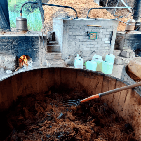 Mezcal No Me Dejes Proceso